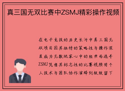 真三国无双比赛中ZSMJ精彩操作视频